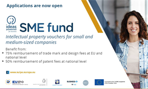The SME Fund, a European Commission initiative