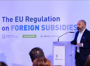 National, EU institutions standpoints debated at FDI subsidies event