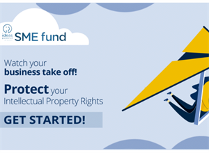 The SME Fund, a European Commission initiative